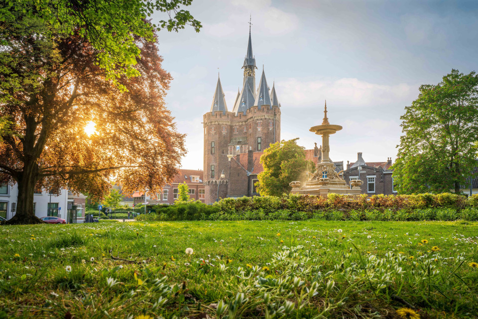 Shutterstock 2260015555 lr