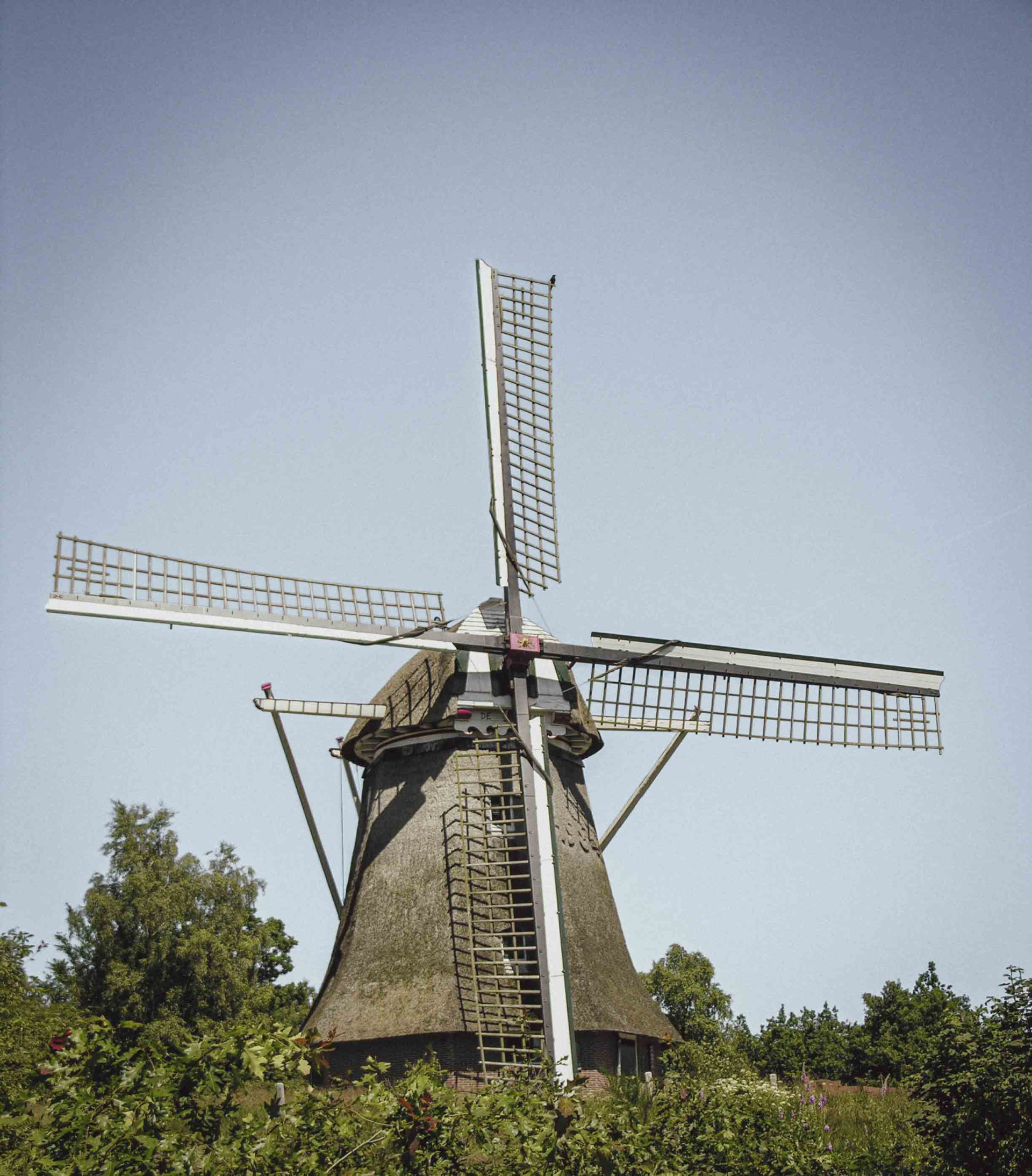 Shutterstock 385377 lr